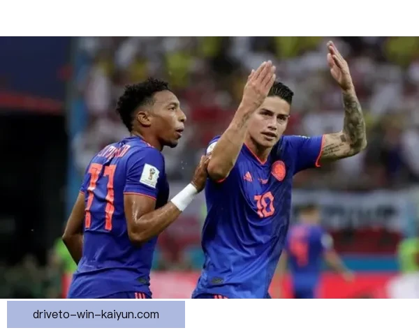 波兰排名波动分析，近期状态表现稳健值得关注